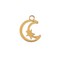 Sweet & Petite Charms, 11.7 x 9.2mm Moon w/Star Gold Plated 6pcs